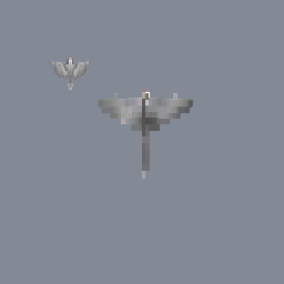 Weidrr Bird w/ crest