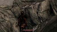 armor of the beast