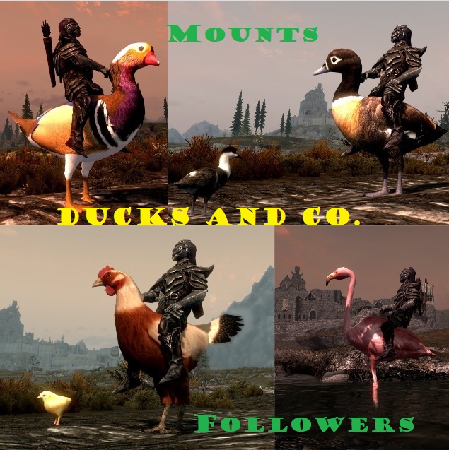 Ducks and Co. Mounts and Followers 3.7