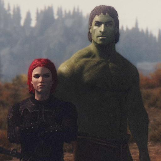 Avengers Followers: Hulk and Black Widow