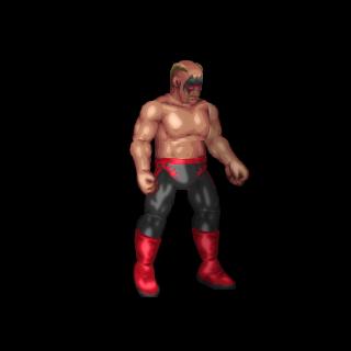 Road Warrior Hawk