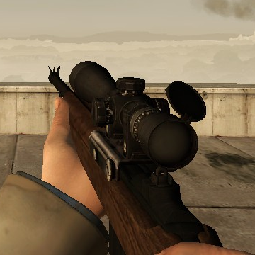 M1 Carbine on L4D1 Animations
