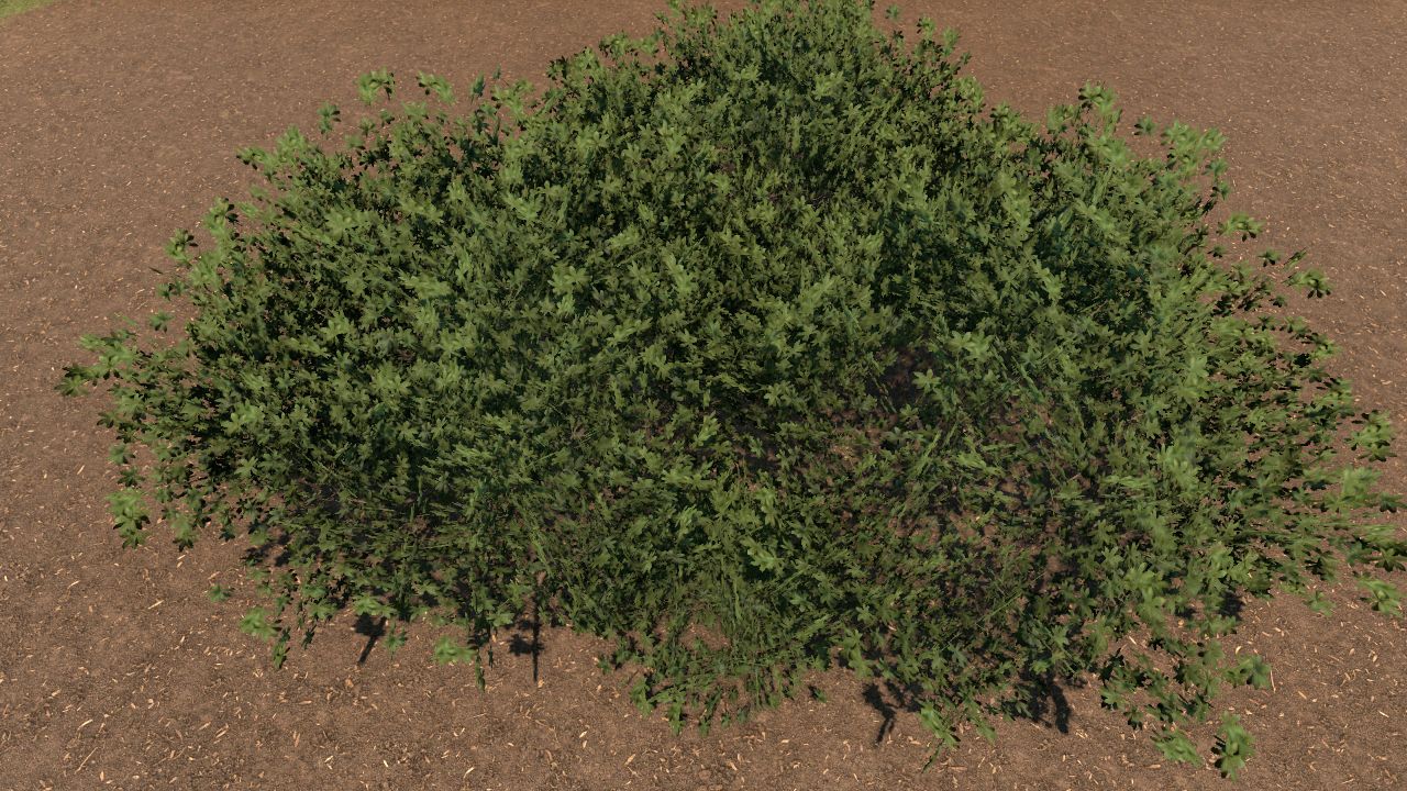 Mangrove "Bush" Bundle