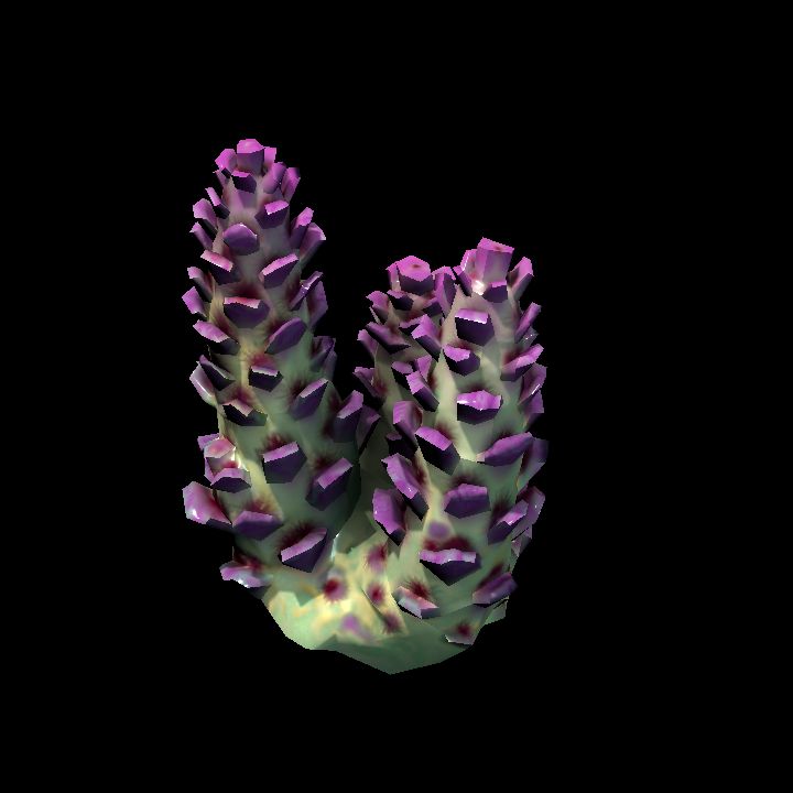 DA_Coral3_2