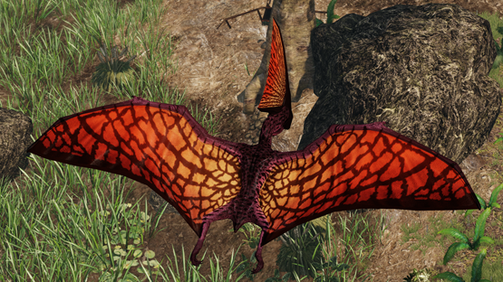 Draco Tupa