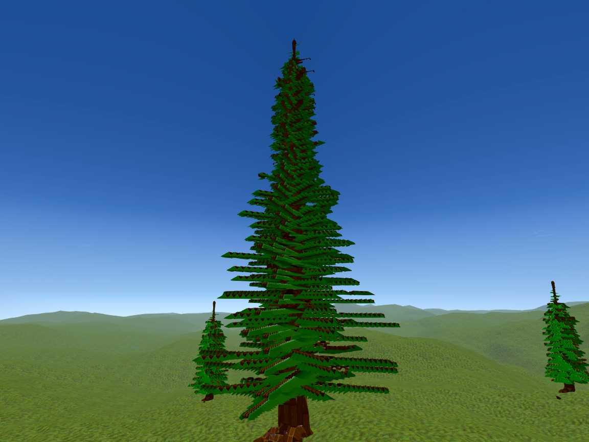 REDWOODTREE