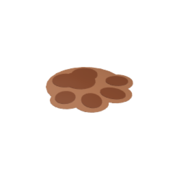 paw rug
