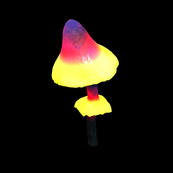 Mushroom_Middle_10_3
