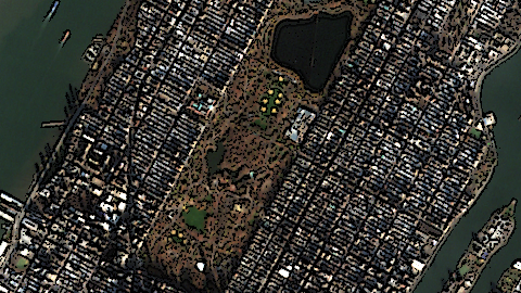 New York In Autumn