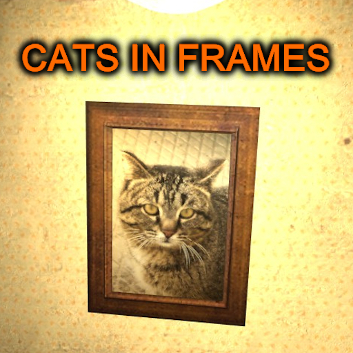 Cats in Frames