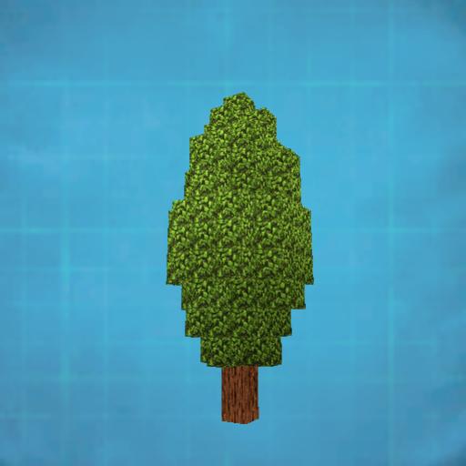 BAum #17