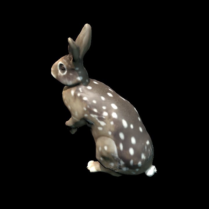 Standing Spotted Rabbit