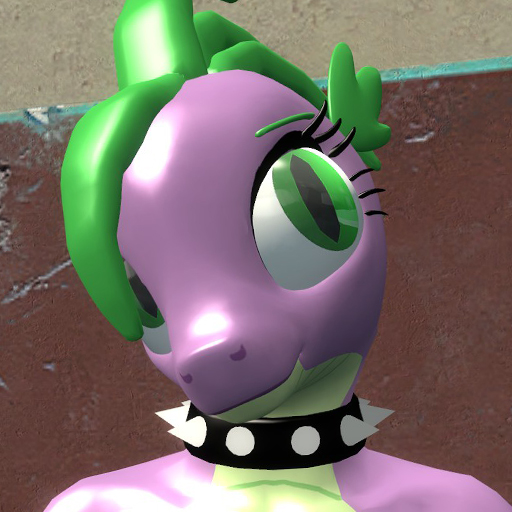 Barb - Player Model
