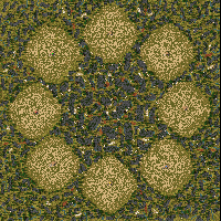 The Swamps
