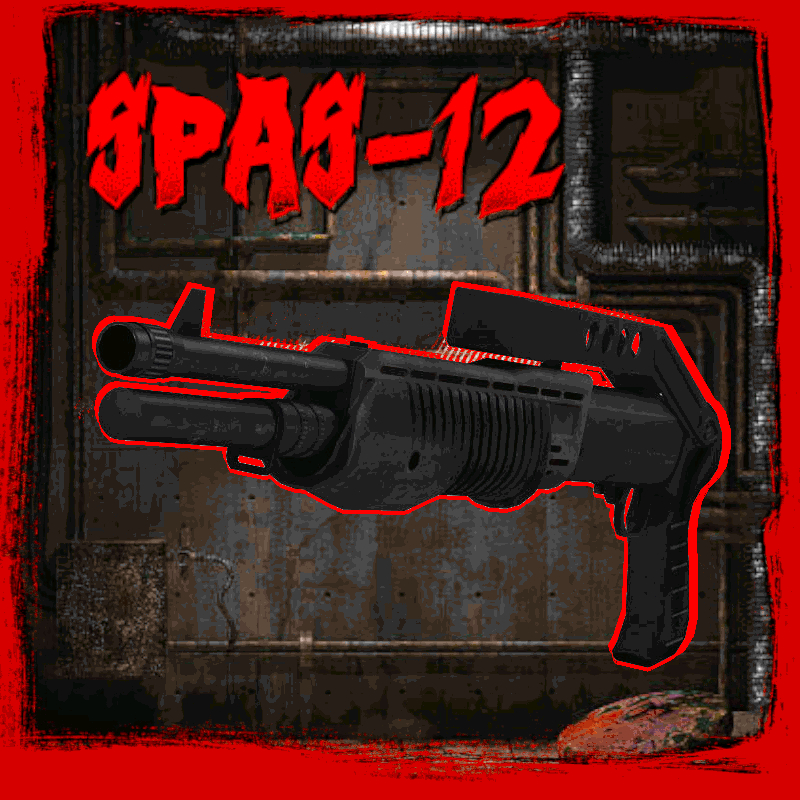 Zombie slayer Spas-12