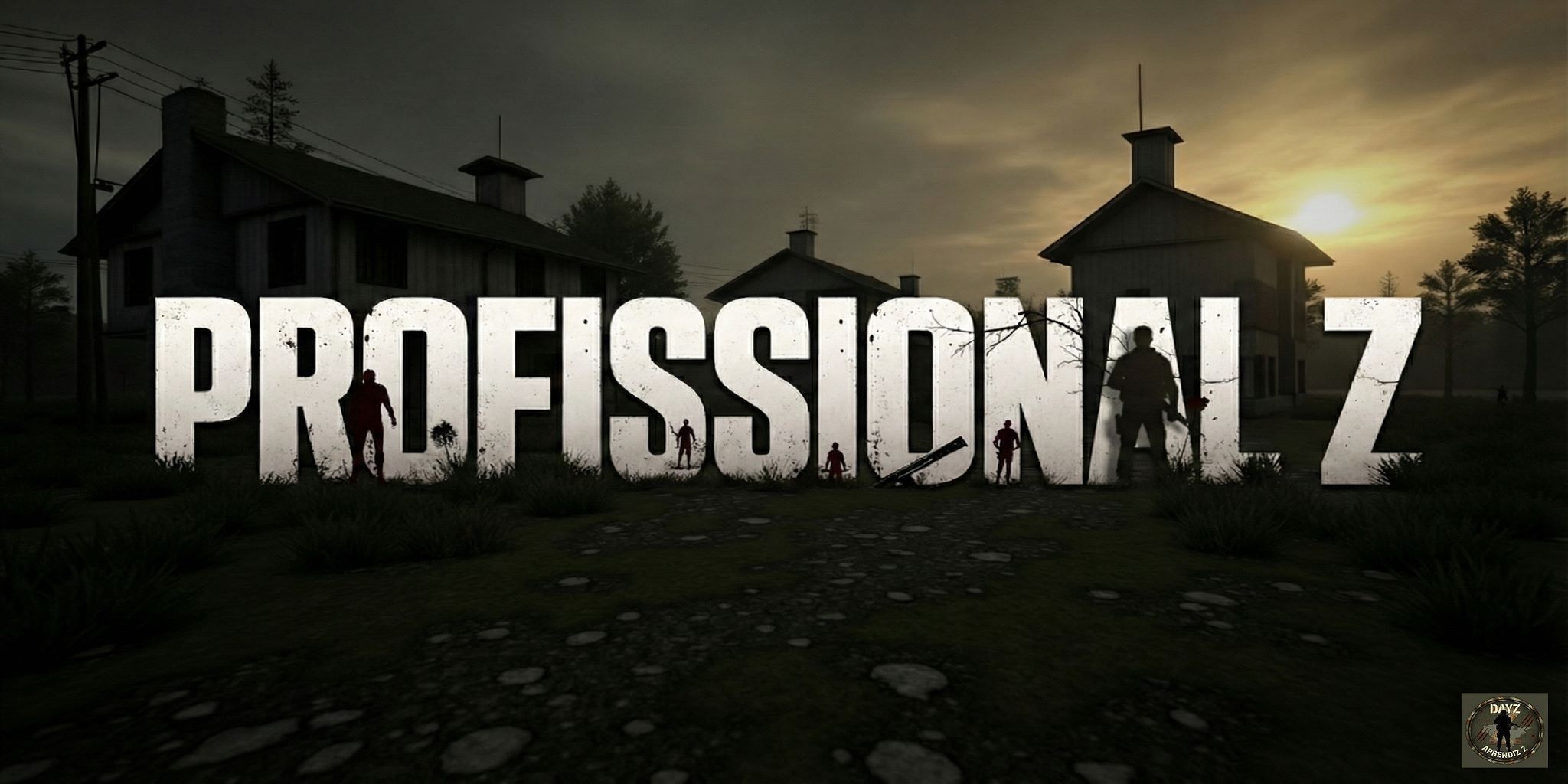 ProfissionalZ
