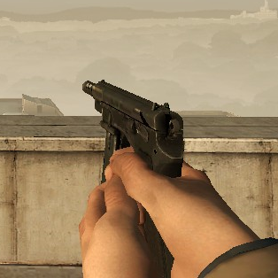 CZ-75 Auto on L4D1 Animations
