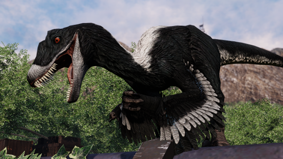 Magpie Feathered Novaraptor (Remake)