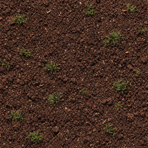 SOIL & GRASSY PATCHES