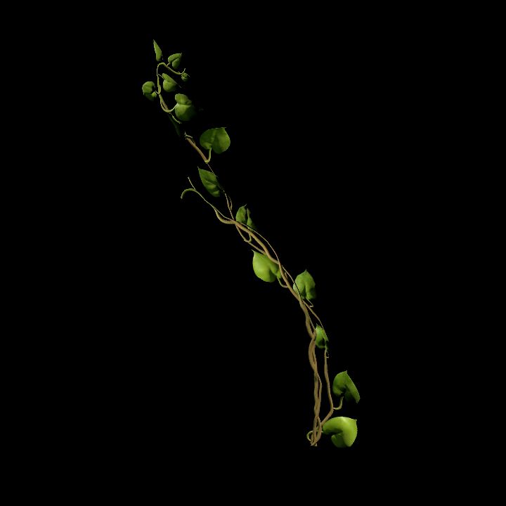 Vine_02