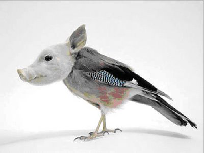 Chirpy Pigs (Less Dying to Offscreen Slugsnouts)