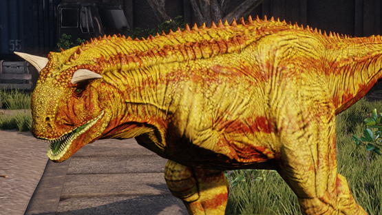 Kiwano Carno