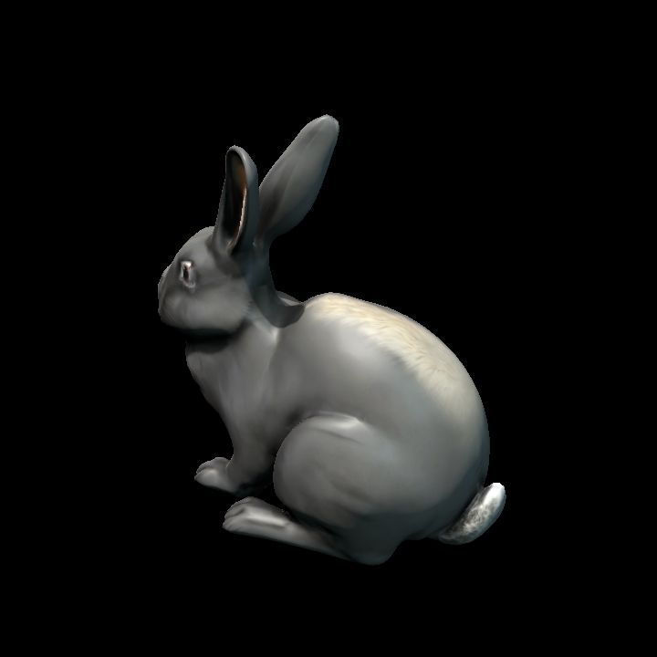 Rabbit with Stripe