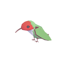Hummingbird perched