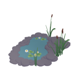 Garden Pond
