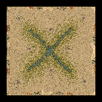 X-treme Oasis
