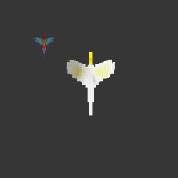 Cockatoo