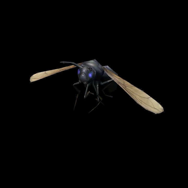 Wasp Hover