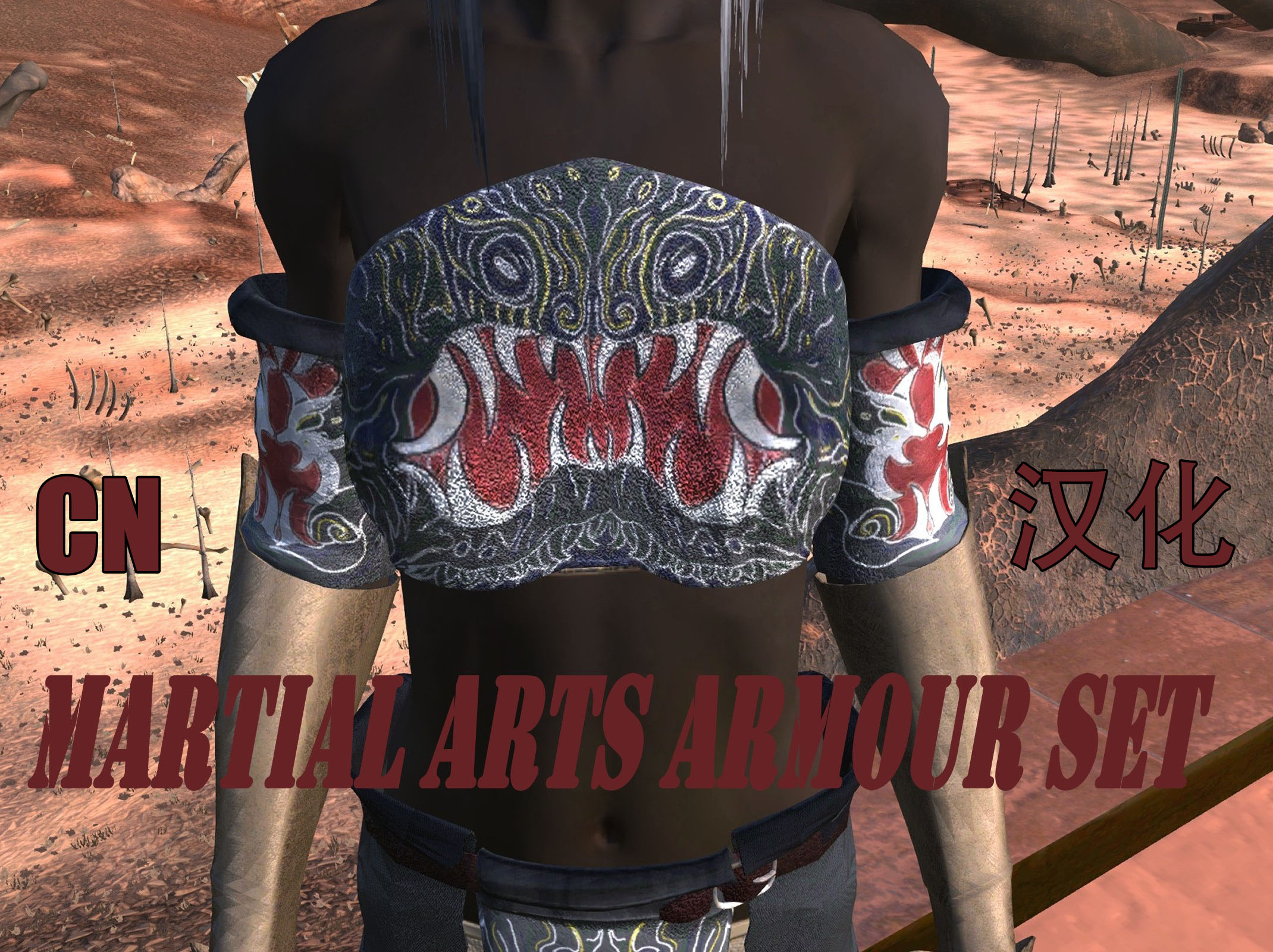 Martial Arts Armour Set CN