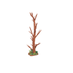 Bare Tree Patch