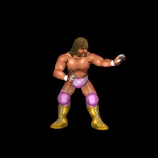 Randy Savage