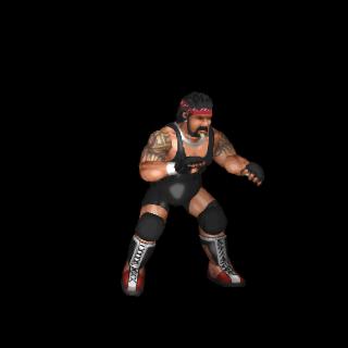 Rick Steiner