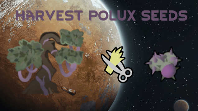 Harvestable Polux Seeds