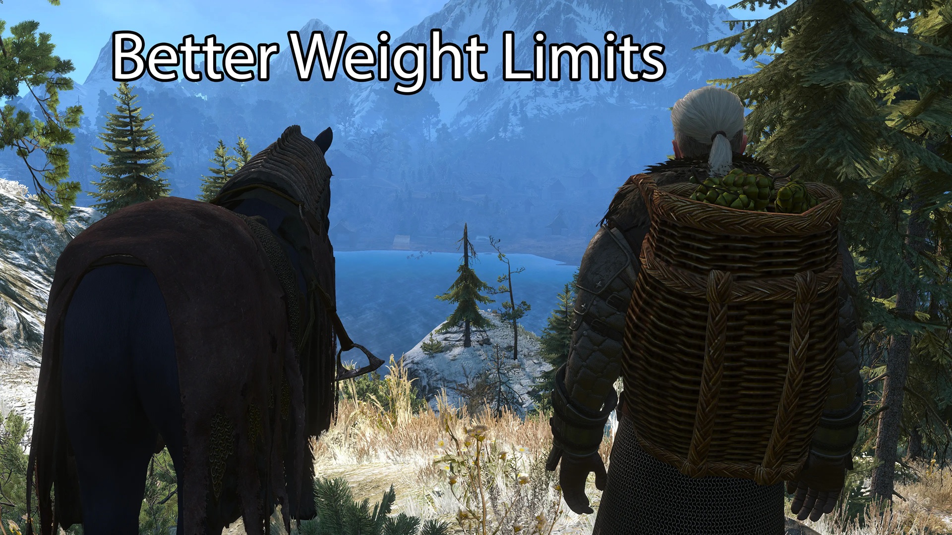 Better Weight Limit