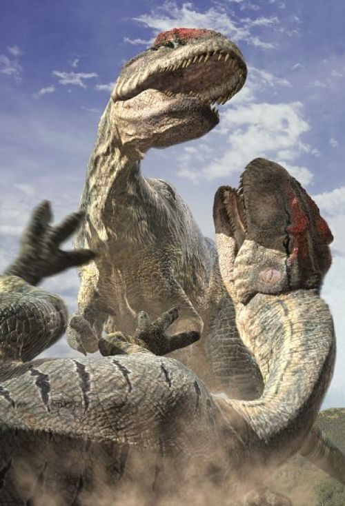 Allosaurus