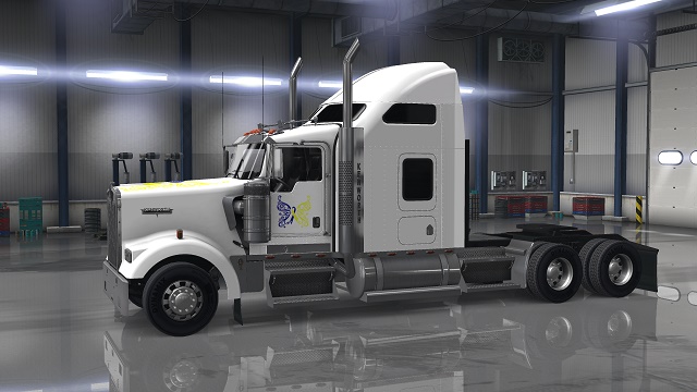 Down Syndrome SCS KW900