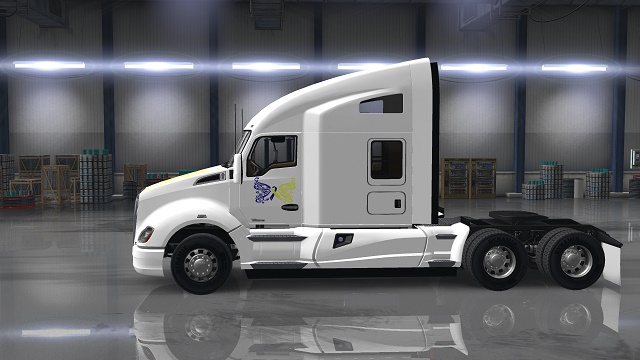 Down Syndrome SCS T680