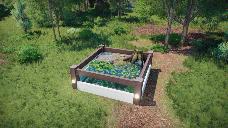 Modern Vivarium Box Open-Top