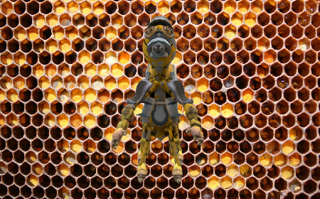 Juycirb Hive