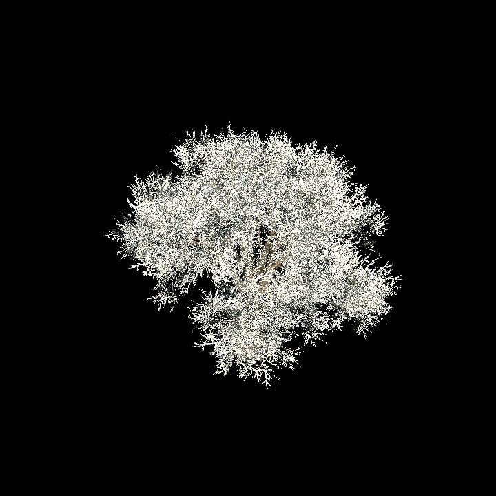 Nature, Tree, Ice 2