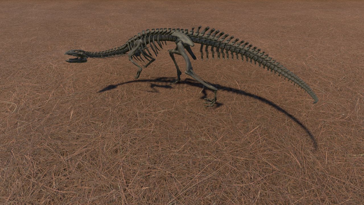 Dryosaurus Skeleton