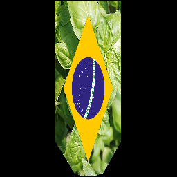 Brazilicum Banner