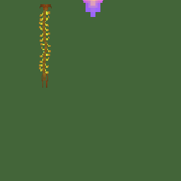 littlre guy