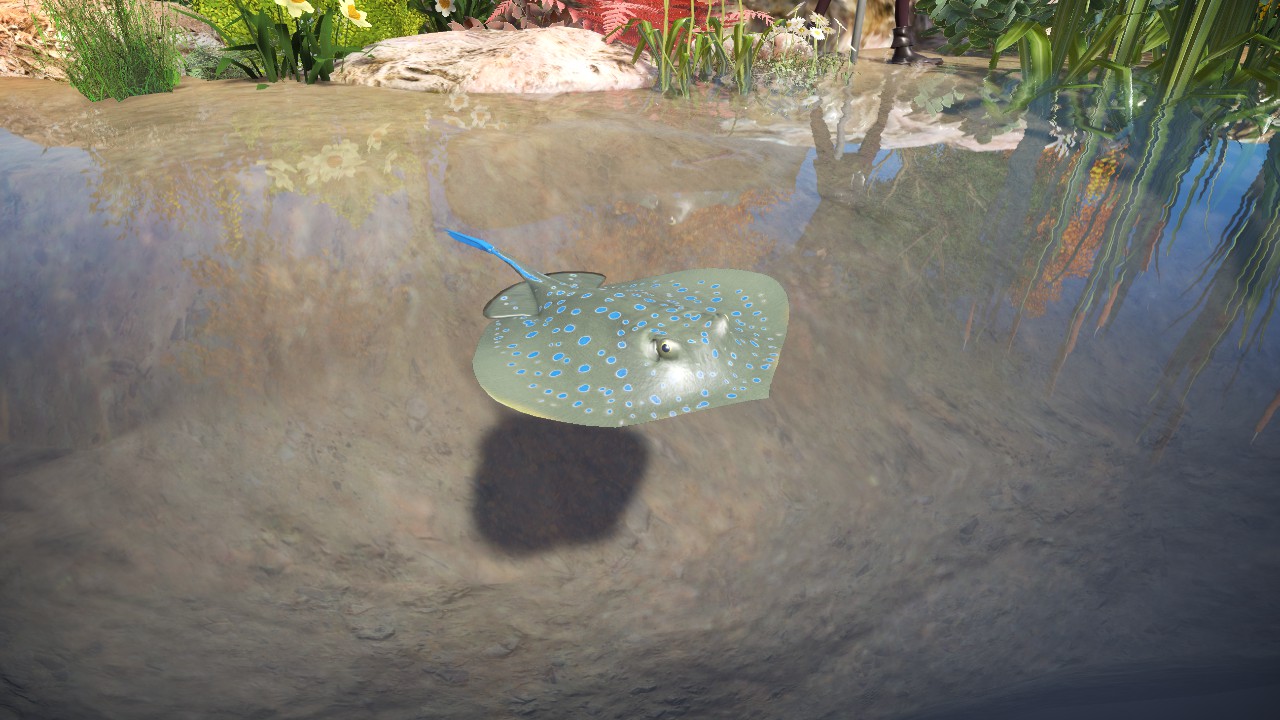 Stingray #2 - Floating (animated)