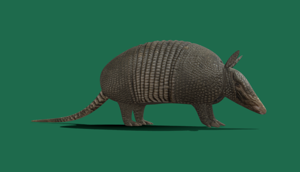 Armadillo preview
