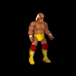 Hulk Hogan
